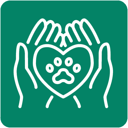 Pet Wellness Hands Holding Heart Icon