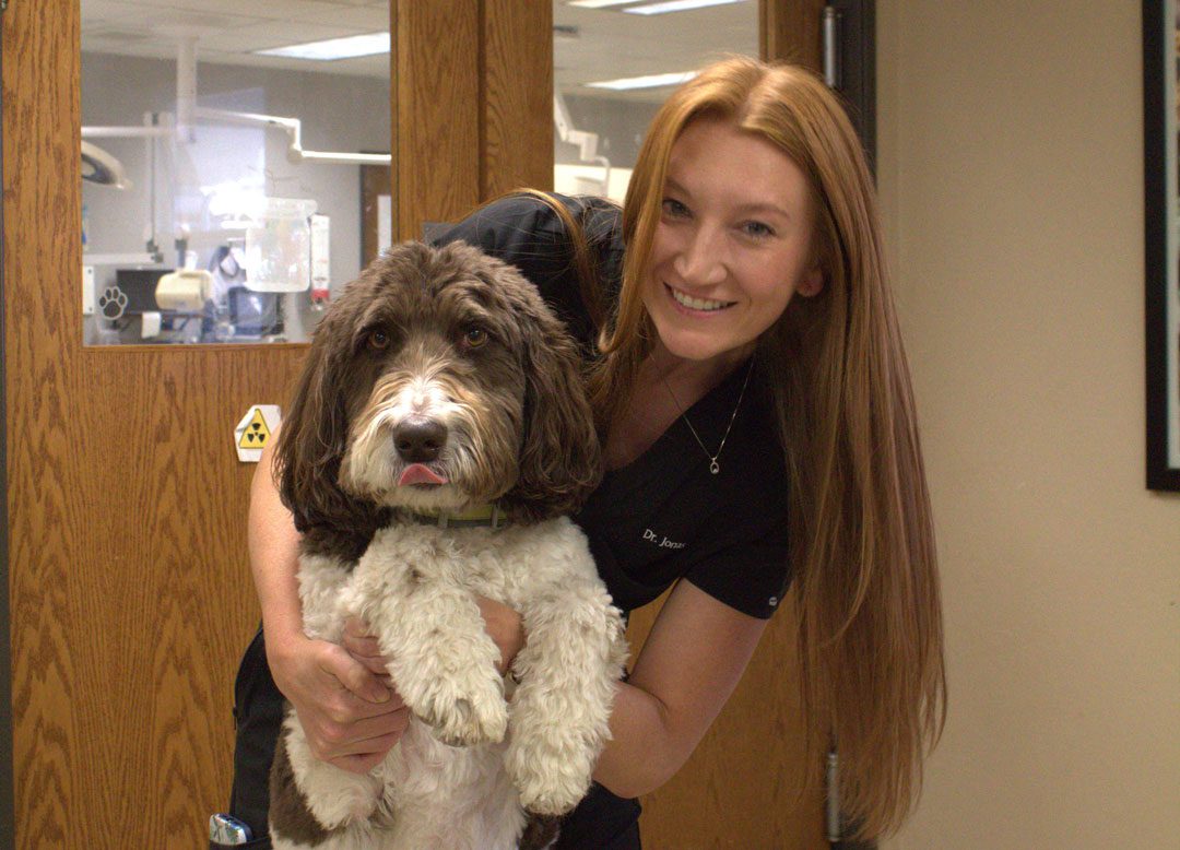 smiling female veterinarian holding large dog up