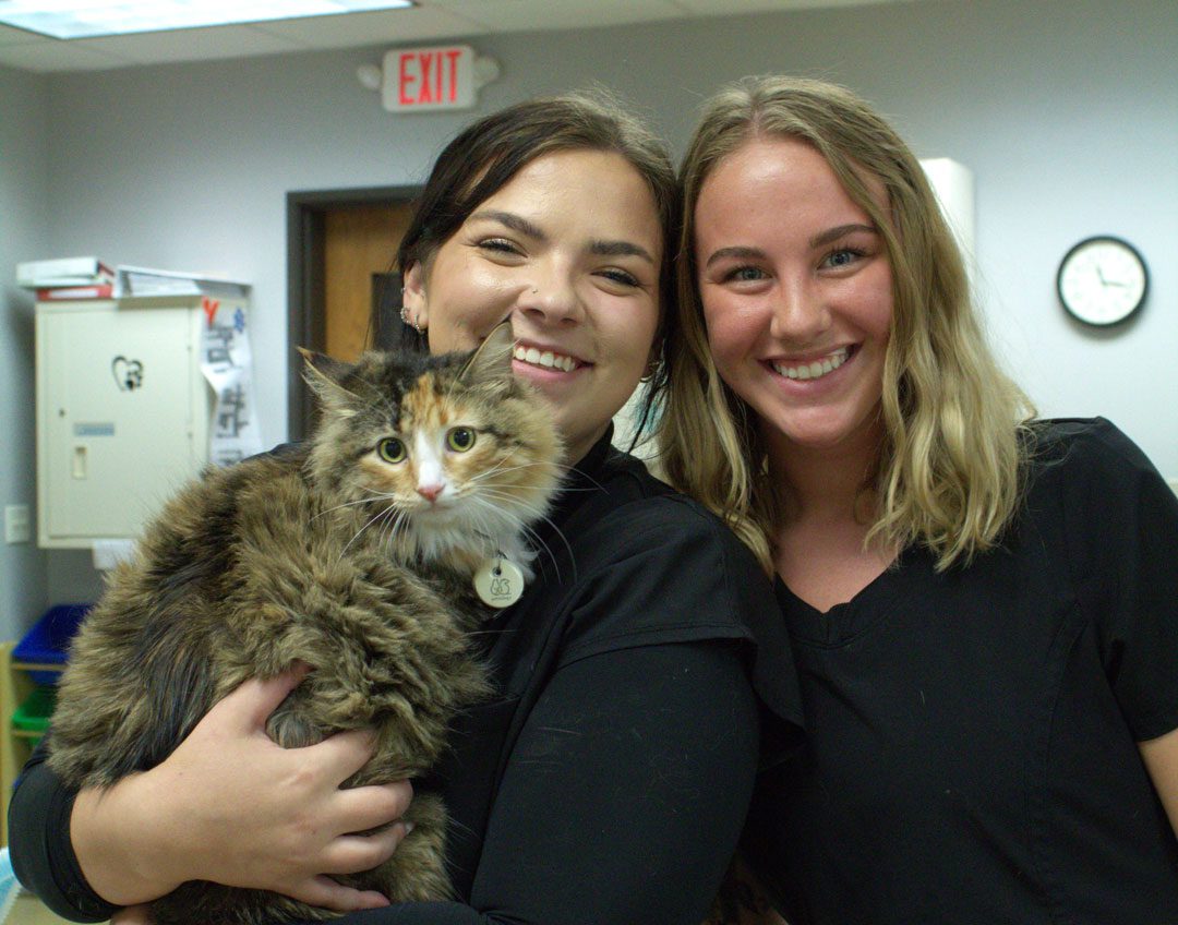 two smiling veterinary assistants holding a fluffy cat