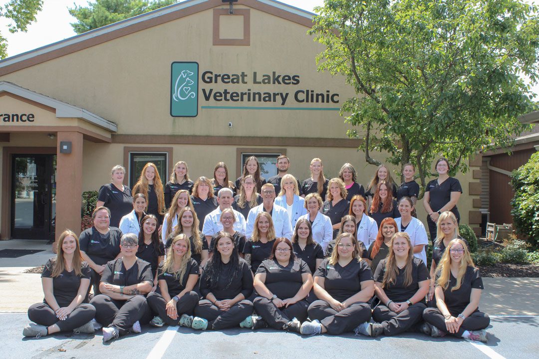 Great Lakes Veterinary Clinic Team