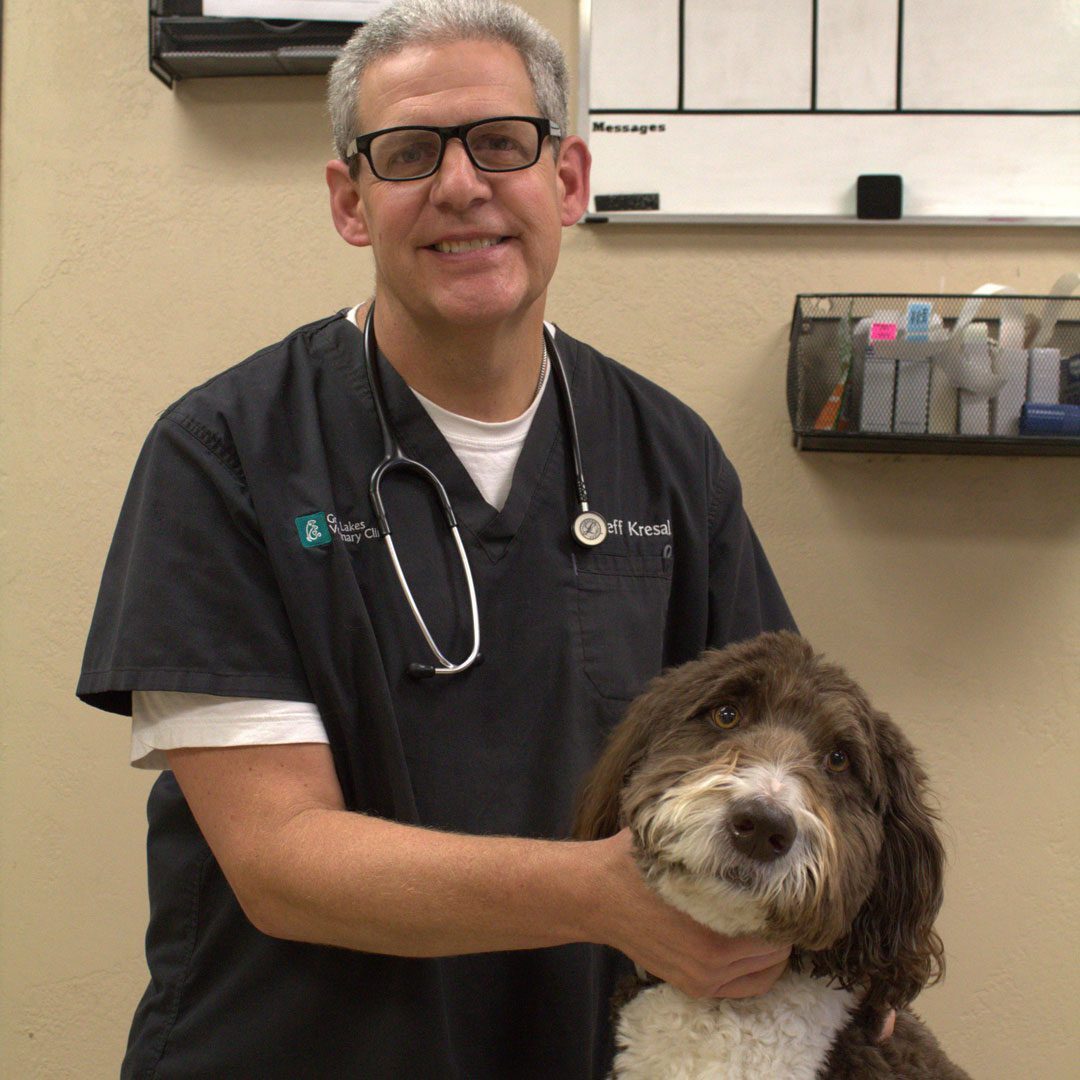 smiling male veterinarian with dog