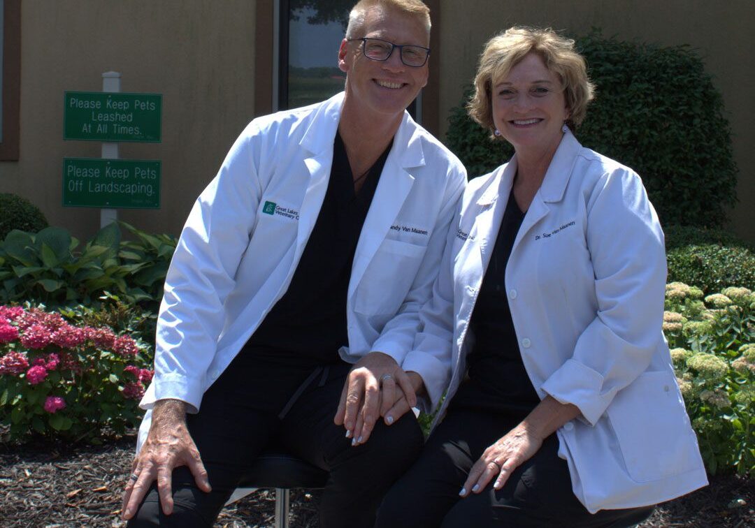 male and female veterinarian sitting together outside
